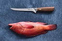 Filetkniv til fisk, 15cm, valnødshåndtag, COUTEAUX & CO, (1 stk.)
