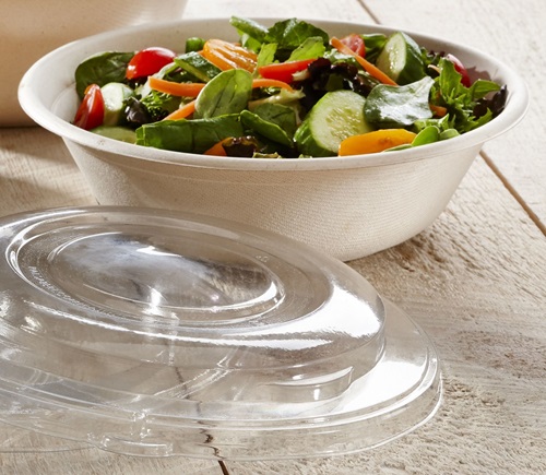 Bagasse skål, 4,8cm, Ø19,6cm, 700 ml, brun, sukkerrør, komposterbar, (400 stk.)