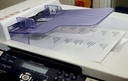 Multilabels Xerox 7,0x2,5 cm, 003R97410, 33 stk./ark, 100 ark/æske, (3300 stk.)