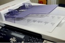 Multilabels, Xerox, 38x21mm, (65stk/ark, 100 ark/æske = 6500 stk.)
