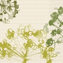 Serviet, 3-lags, 33x33cm, "Green Umbles", Duni, (500 stk.)