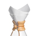 FS-100 CHEMEX