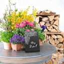 Bordskilt, L-formet, Securit, A5, akryl, sort, (3 stk.)