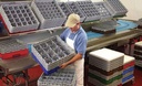 CAMBRO 16S900