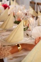 Dunilin® serviet 40 x 40 cm Opulent Cream