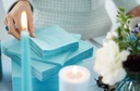 DUNI  171544   Tissue serviet 33 x 33 cm Mintblå 3-lags