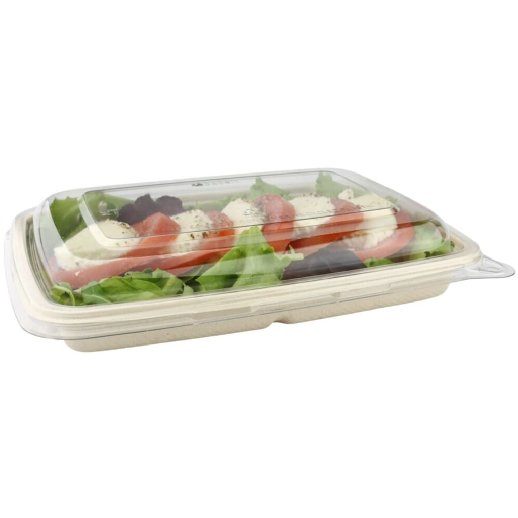 Bagasse bakke, 22,9x16,5x2,9cm, 600 ml
