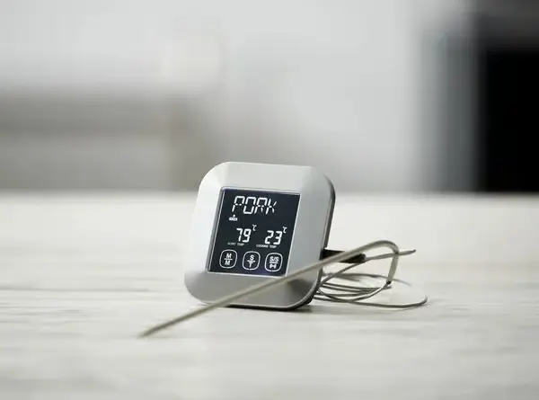 Funktion Digital Stegetermometer.webp