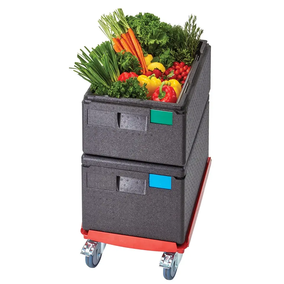 CAMBRO EPP160110.webp