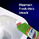 Domestos Mountain Fresh.webp