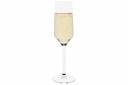 Champagneglas, 220ml, glas, GRACE, COSY MOMENTS, (18 stk.)