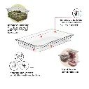 CAMBRO 12CW135 Plastkantine.webp