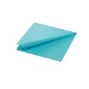 Frokostserviet, Duni, 3-lags, 1/4 fold, 33x33cm, mintblå, papir, Duni, (1000 stk.)