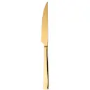 Steakkniv, Durban Mirror Gold, guld, monobloc, 18/10 rustfrit stål, SOLA, (12 stk.)