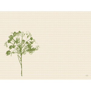 Dækkeserviet, bio, Dunicel, 30x40cm, "Green Umbles", Duni, (500 stk.)