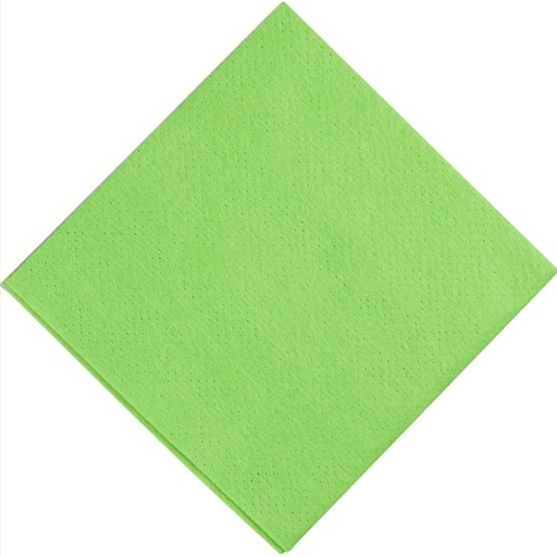 [28377] Alt-mulig-klud, 38x38cm, grøn, PP/viskose, perforeret, 125g, (100 stk.)