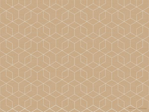 [16602] Dækkeserviet, papir, 30x40cm, Vævet "Eco Echo", Duni, (1000 stk.)