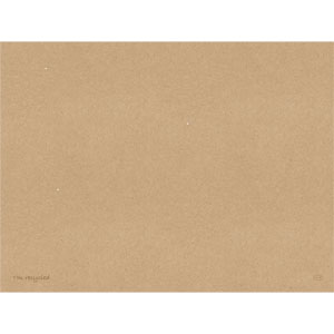 [16687] Dækkeserviet, 30x40cm, "I'm Recycled", Duni, (1000 stk.)